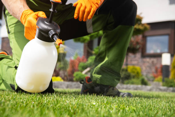 Best Residential Pest Control  in Ol, LA